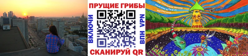 Псилоцибиновые грибы Psilocybe  Чкаловск 